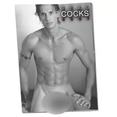 Real Cocks 2027 - erotický nástěnný kalendář (1 ks)