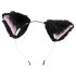 Bad Kitty - kočičí anální plug set - (černá)