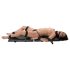 You2Toys - Bondage Board - přenosná bondage sada (13 částí)