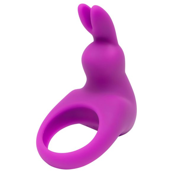 Happyrabbit Cock Kit - vibrační kroužek na penis se schránkou (fialový)