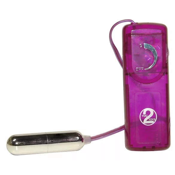 You2Toys - sada vibrátorů - erotické překvapení - 12 dílů