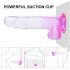 Sunfo - přísavkový dildo s varlaty - 22cm (průhledná-fialová)