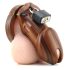CB-6000 - Luxusní klícka na penis se zámkem (dřevo)