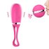 Dorcel Secret Delight - růžové vibro vajíčko s dálkovým ovládáním