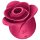 Satisfyer Pro 2 Rose - modern stimulátor klitorisu (červený)
