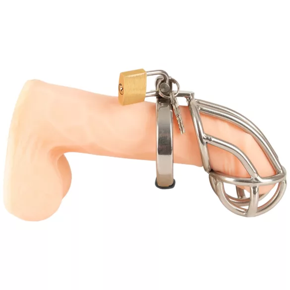 Fetish Collection - kompaktní ocelová klec na penis s visacím zámkem (stříbrná)