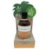 Coconutoil - Bio bronzový olej (80 ml)