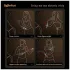 Roomfun - elektrický šokový bič (černý)