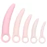 CalExotics Inspire - vaginální dilatátor set - zdravotní pomůcka - růžová