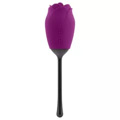   Playboy - vibrátor s jazýčkem - vodotěsný, nabíjecí - fialový