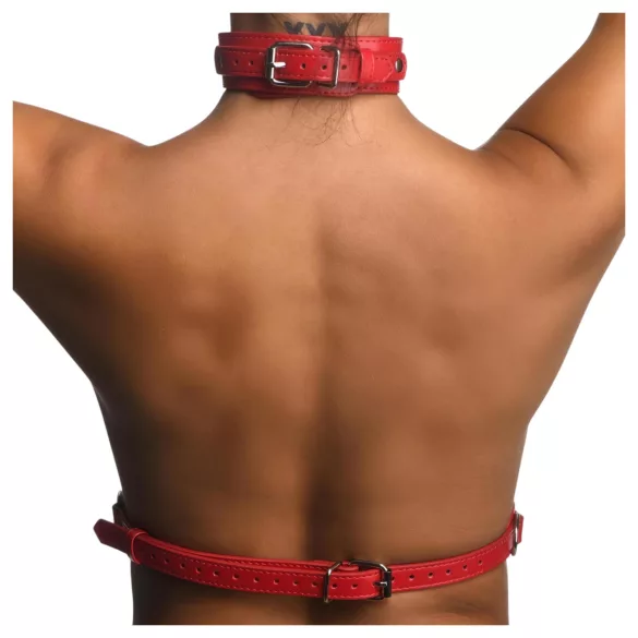 Strict - červený postroj s nákrčníkem - M/L