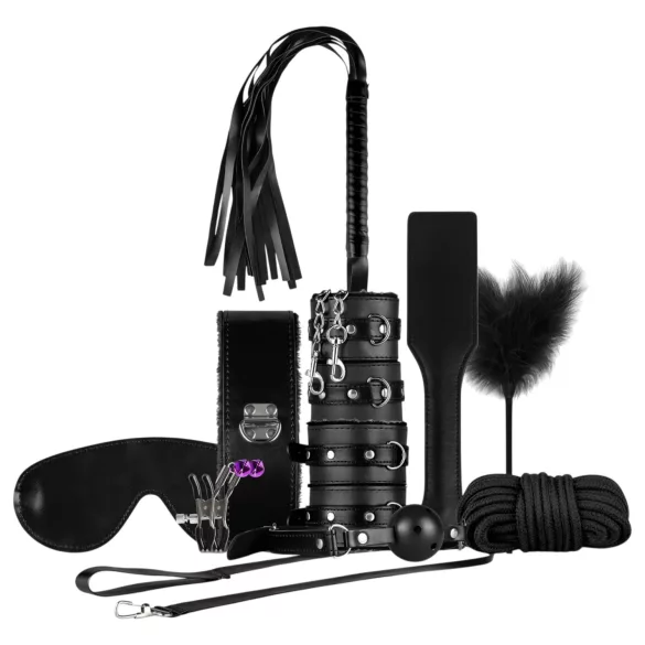 Secret Pleasure Chest - sada pro pokročilé BDSM - 14 dílů - černá