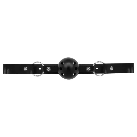 Secret Pleasure Chest - sada pro pokročilé BDSM - 14 dílů - černá