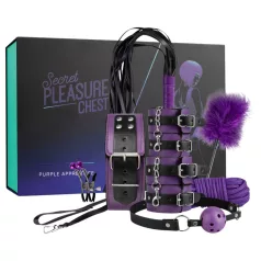 Secret Pleasure Chest - pokročilá BDSM sada (14dílná)