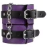 Secret Pleasure Chest - pokročilá BDSM sada (14dílná)