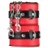 Secret Pleasure Chest - pokročilá sada BDSM - 10dílná (červená)