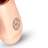 Rosy Gold Mini Wand - akumulátorový masážní vibrátor (rosegold)