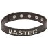 X-Play Master - BDSM obojek (černý)